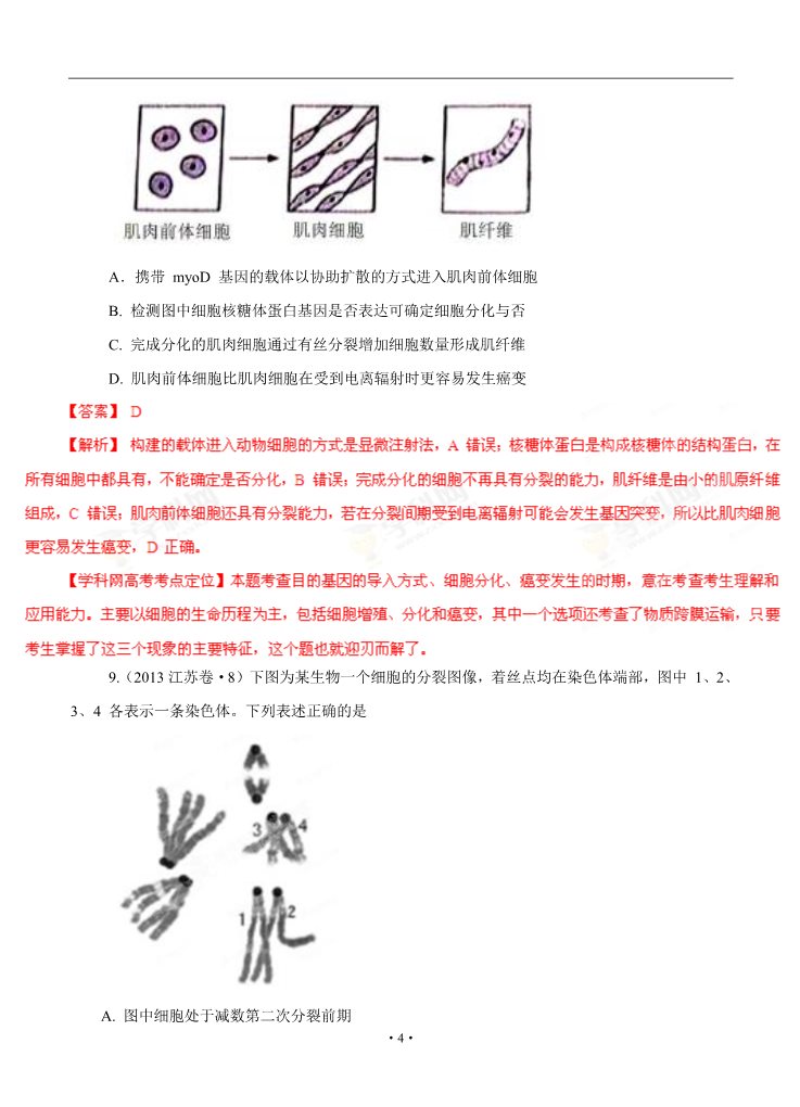 高中生物必修一2013年高考试题分项版解析生物 专题04 细胞的生命历程（含减数分裂）（解析版）第4页