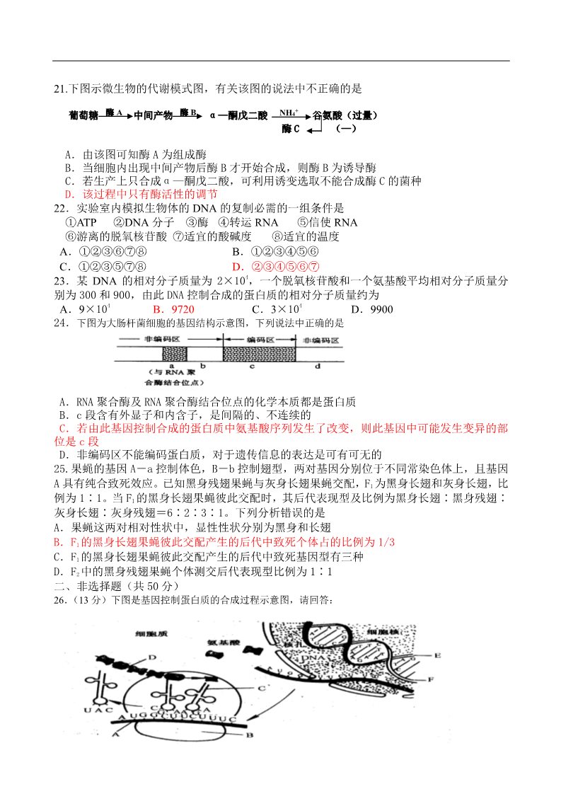 高中生物必修二2012届海南省文昌中学生物必修2第3、4单元测试 第3页