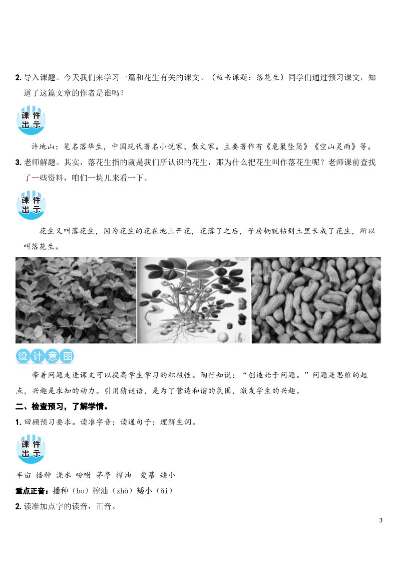 五年级上册语文（部编版）2 落花生（教案）第3页
