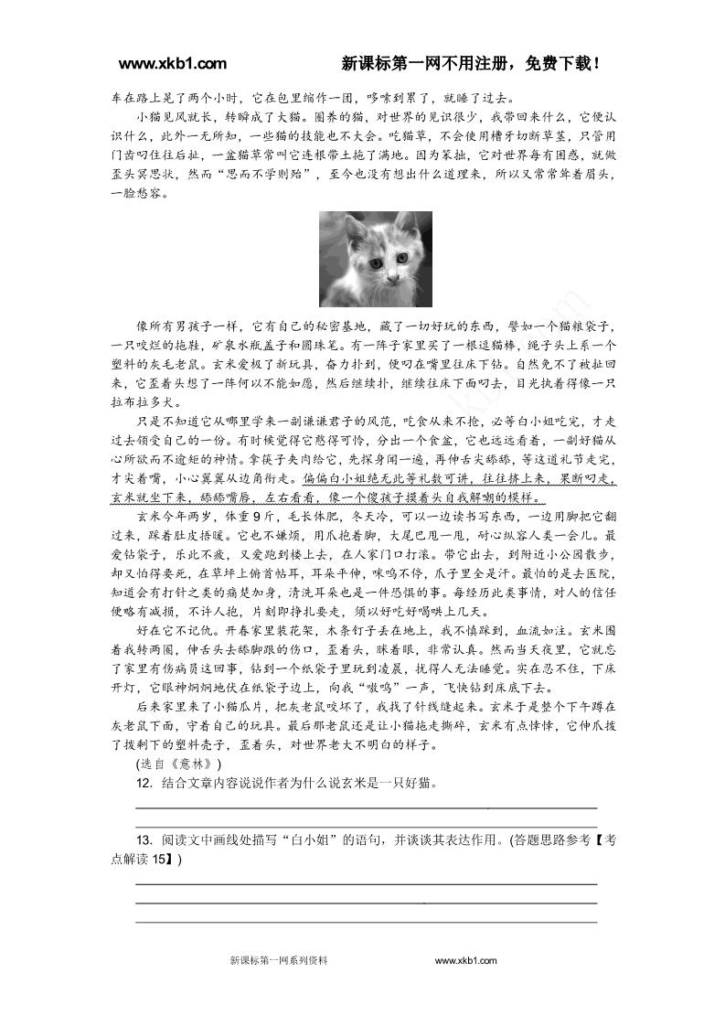 初一上册语文17.猫 同步练习题第4页
