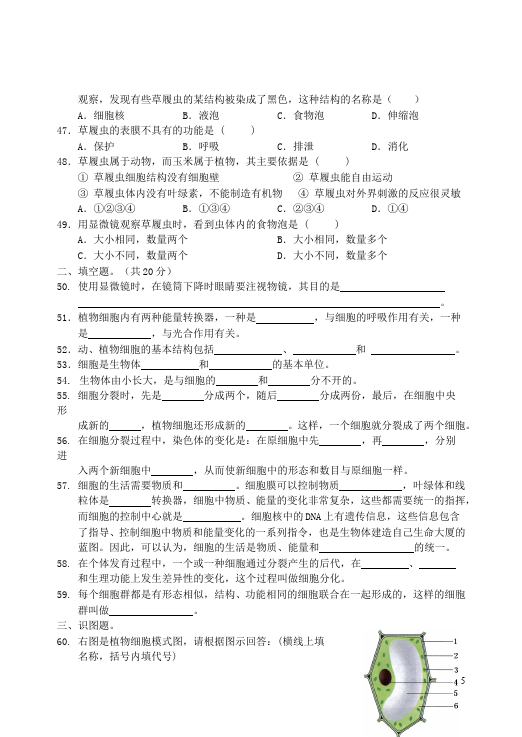 初一上册生物《第二单元:生物体的结构层次》考试试卷(生物)第5页