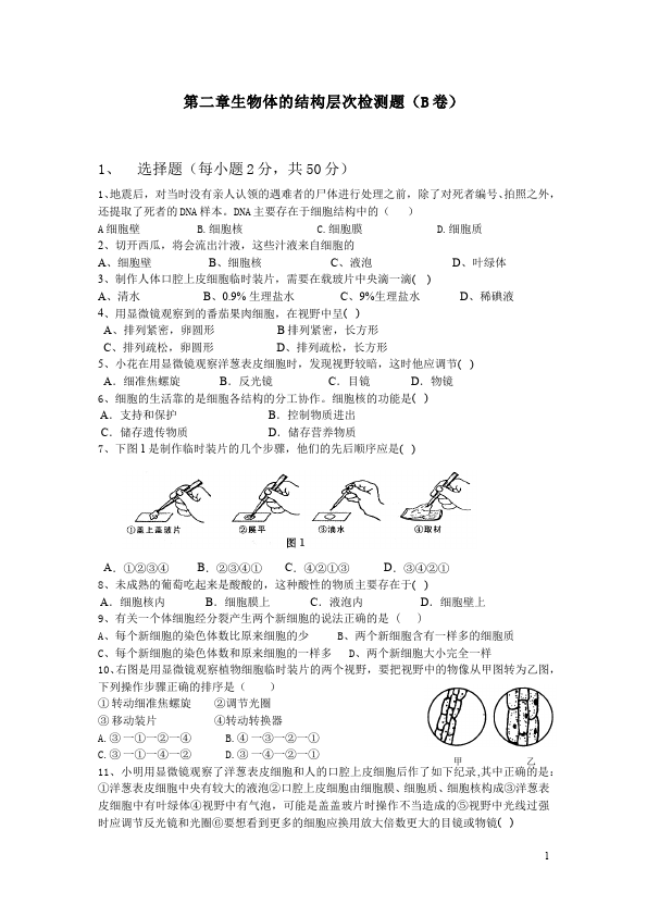 初一上册生物生物测试卷《第二单元:生物体的结构层次》第1页