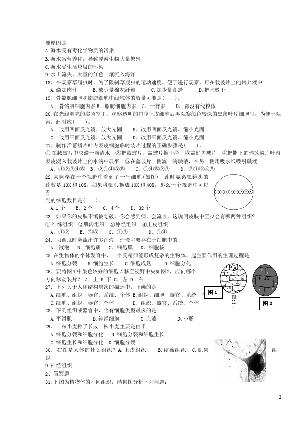 初一上册生物生物《第二单元:生物体的结构层次》试题第2页