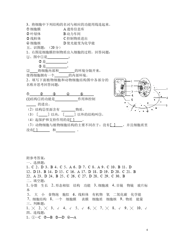 初一上册生物生物《生物体的结构层次附参考答案》练习试卷第4页