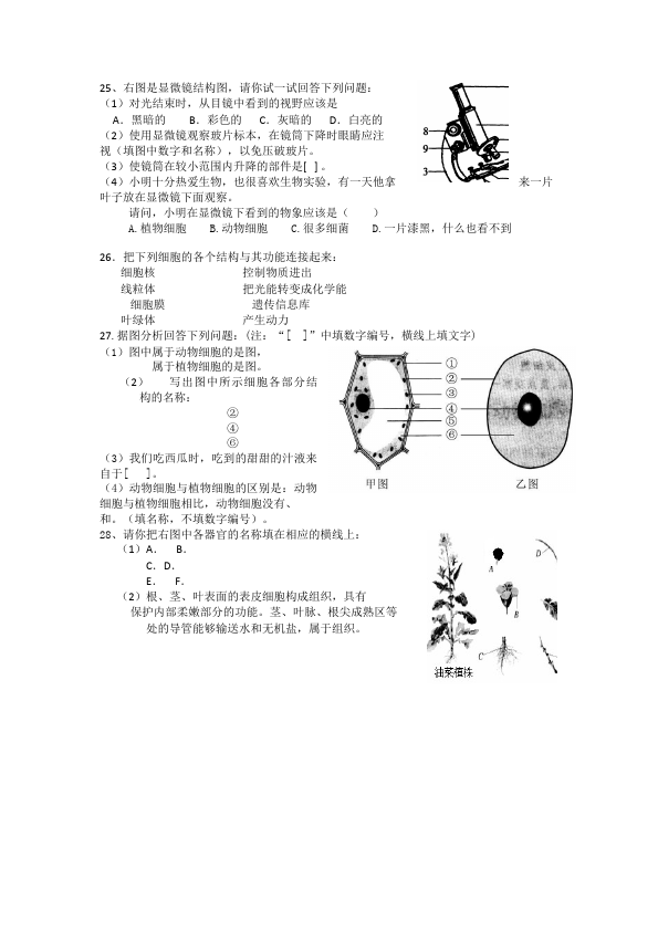 初一上册生物生物《第二单元:生物体的结构层次》测试题目第2页