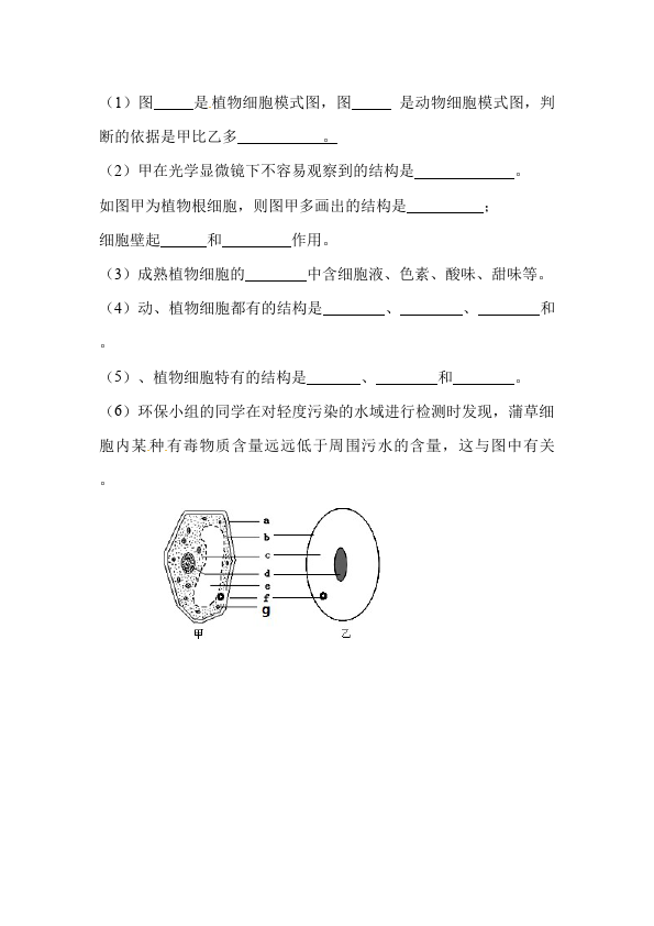 初一上册生物《动物细胞》教案教学设计(新生物)第3页