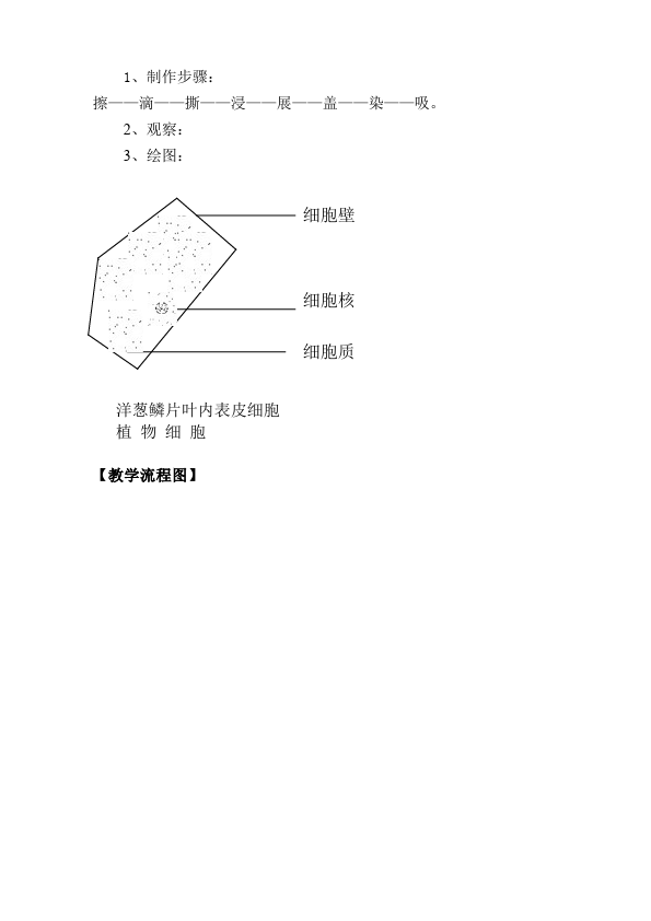 初一上册生物《植物细胞》教案教学设计(生物)第5页