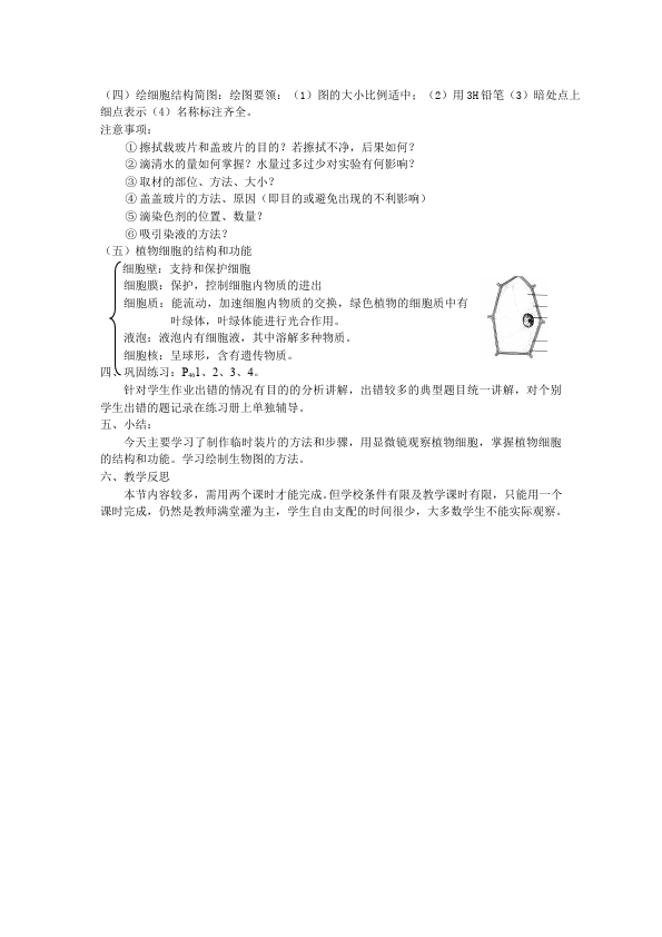 初一上册生物新生物优质课《植物细胞》教案教学设计第2页