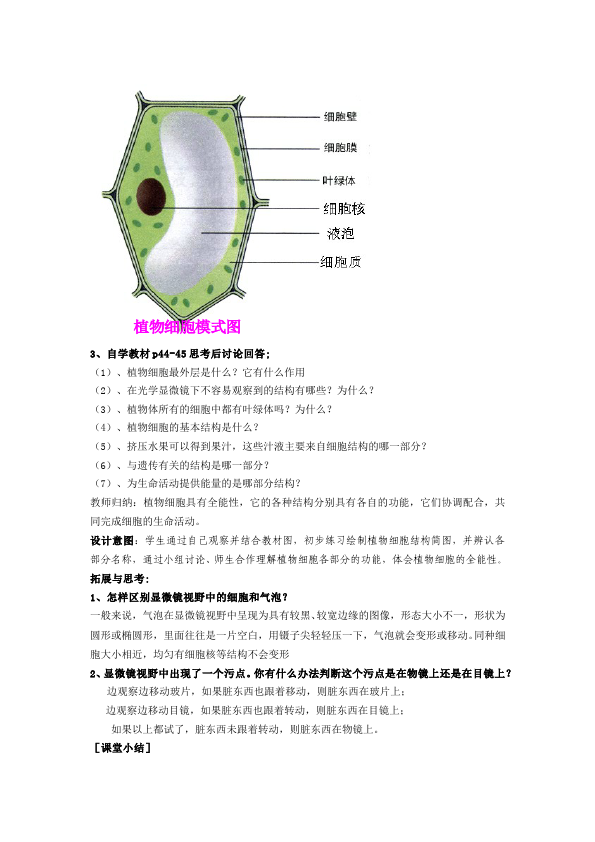 初一上册生物《植物细胞》教案教学设计(新生物)第5页