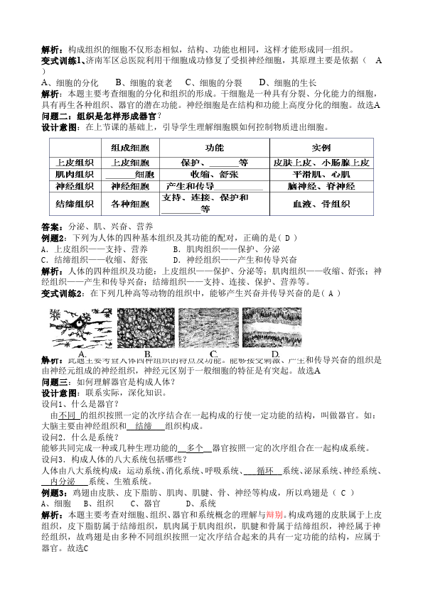 初一上册生物优质课《动物体的结构层次》教案教学设计第2页