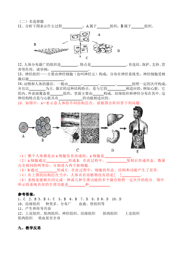 初一上册生物优质课《动物体的结构层次》教案教学设计第4页