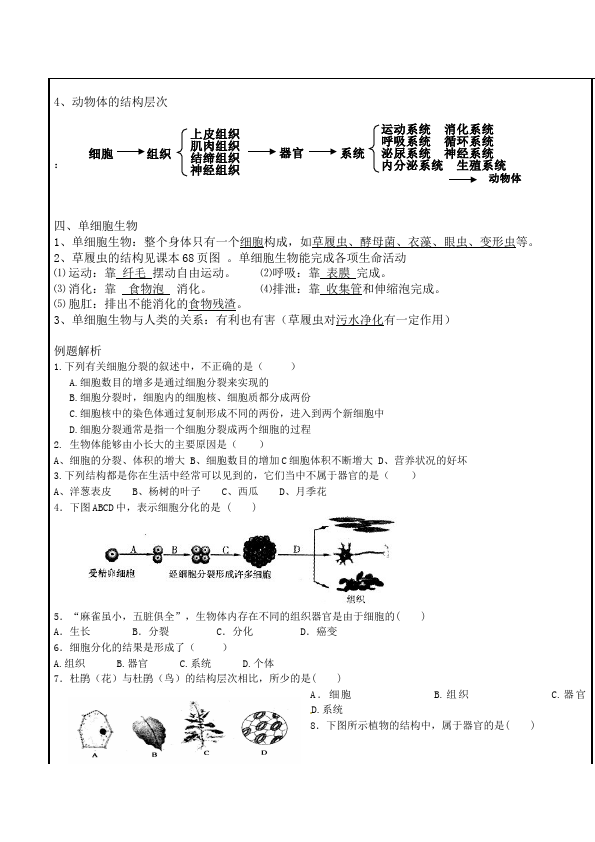 初一上册生物优质课《第二章:细胞怎样构成生物体》教学设计教案第3页