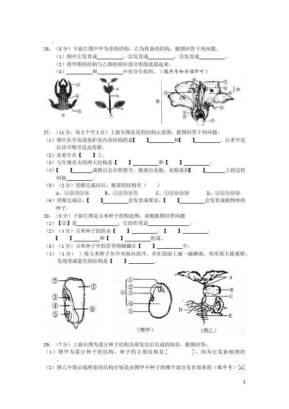 初一上册生物生物《生物圈中的绿色植物附参考答案》单元测试试卷第3页