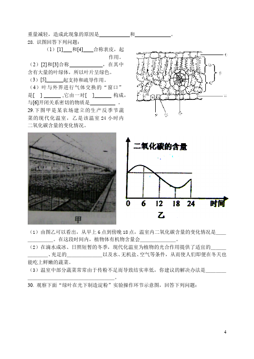 初一上册生物《第三单元:生物圈中的绿色植物附参考答案》单元测试题第4页