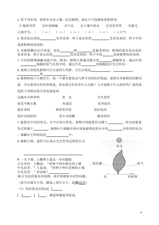 初一上册生物《第三单元:生物圈中的绿色植物附参考答案》作业练习试卷下载第4页