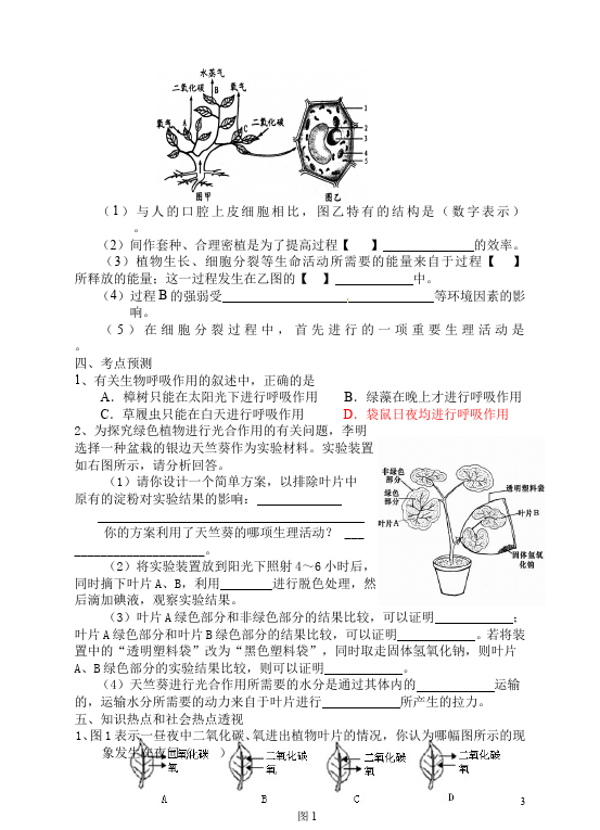 初一上册生物生物《生物圈中的绿色植物附参考答案》单元检测试卷（）第3页