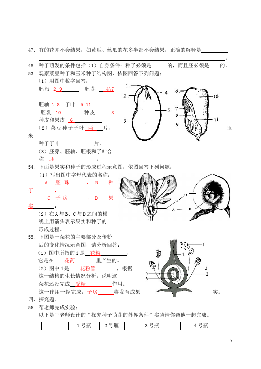 初一上册生物生物《生物圈中的绿色植物附参考答案》单元试卷（）第5页