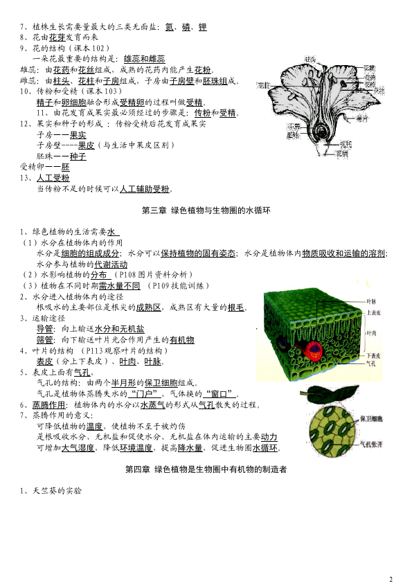 初一上册生物生物第三单元:生物圈中的绿色植物复习提纲第2页