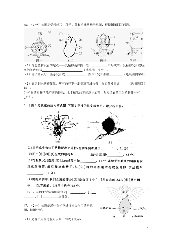 初一上册生物生物《第三单元:生物圈中的绿色植物》试题第5页