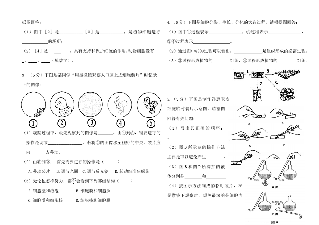 初一上册生物生物《期中考试附参考答案》试题第4页