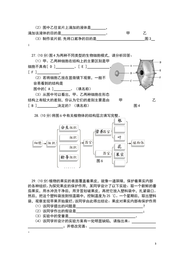 初一上册生物生物《期中考试附参考答案》单元检测试卷（）第3页