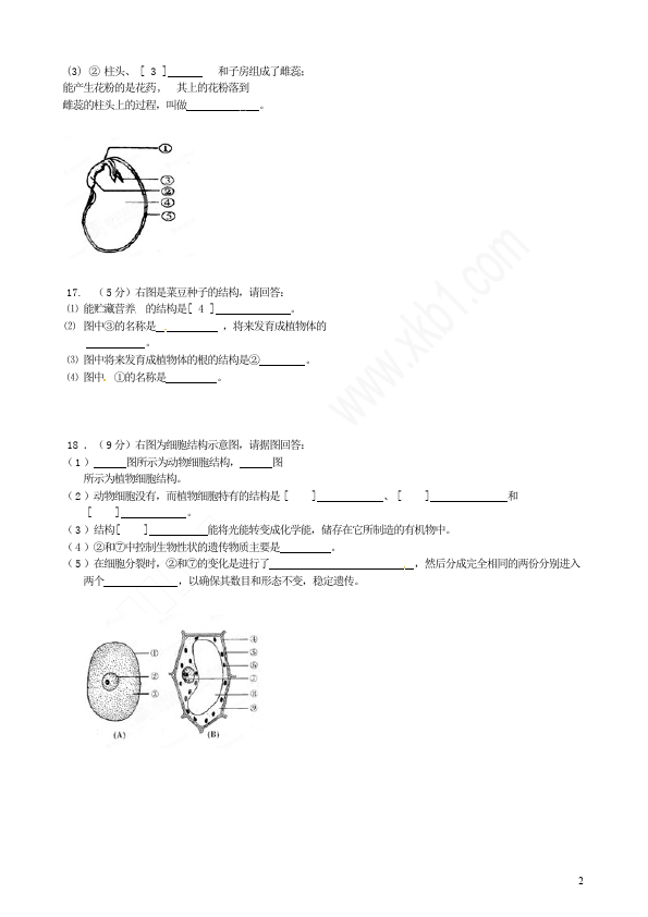 初一上册生物生物《期中考试附参考答案》命题试卷第2页
