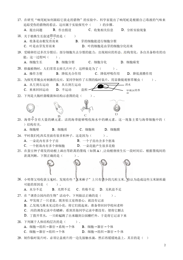 初一上册生物生物《期中考试附参考答案》作业练习试卷下载第2页