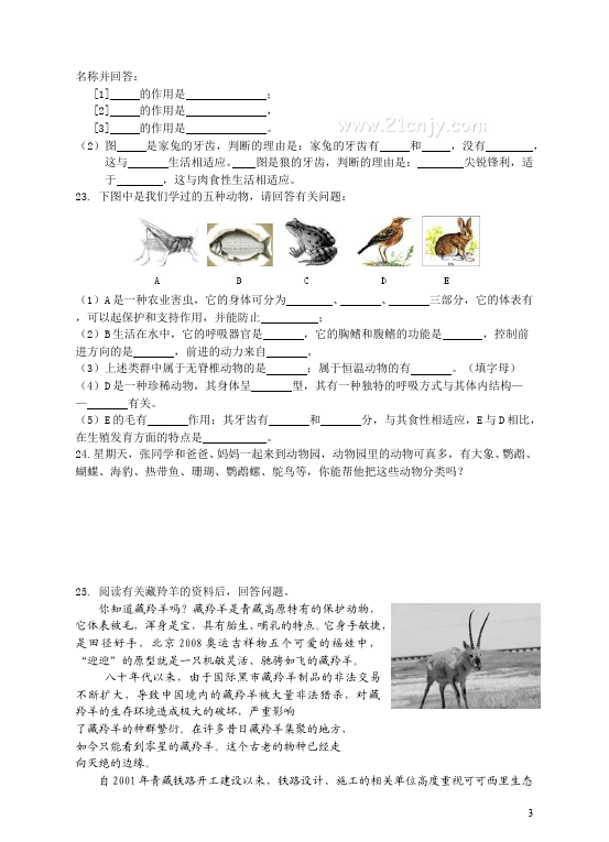 初二上册生物《动物的主要类群附参考答案》单元检测试卷（生物）第3页
