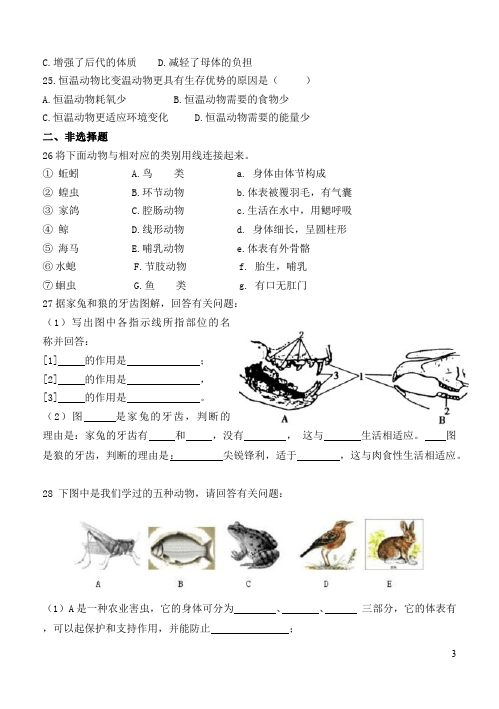 初二上册生物单元测试试题《第一章:动物的主要类群》（生物）第3页