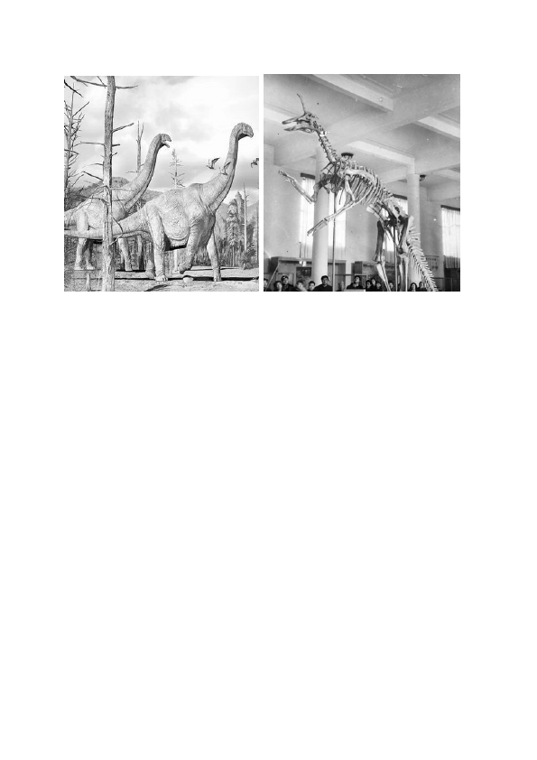 初二下册生物新《第三章:生物的进化》教案教学设计第5页