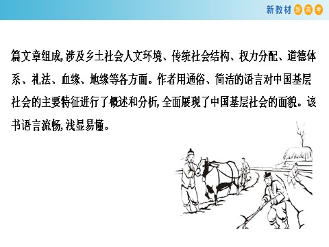 高中语文新版必修上册5.1 乡土中国课件第4页