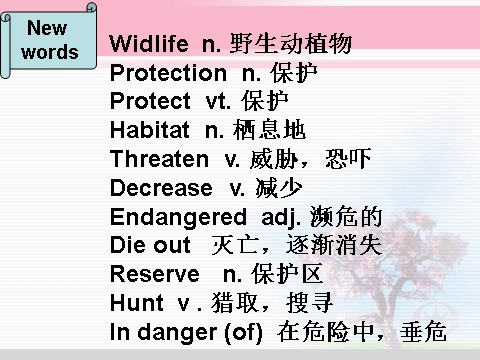 高中英语必修二（人教版）pep英语必修2课件_Unit 4 Wildlife protection reading1第4页