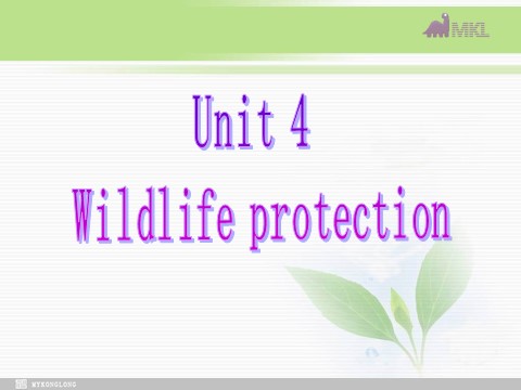 高中英语必修二（人教版）必修二 4.6《 Unit 4 Wildlife protection》第2页