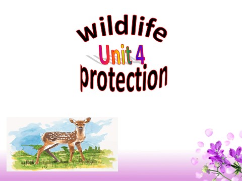 高中英语必修二（人教版）pep英语必修2课件_Unit 4 Wildlife protection　课件3第1页