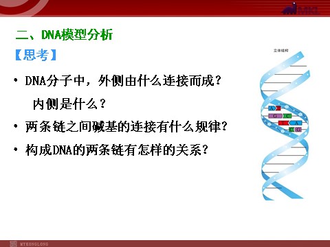 高中生物必修二【人教版】高中生物必修二《 3.2 DNA分子的结构》课件第9页
