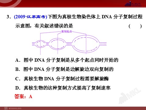 高中生物必修二第2讲  DNA分子的结构、复制与基因的本质第9页