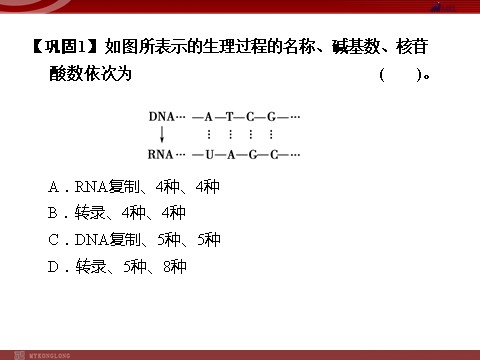 高中生物必修二高效课堂同步课件：4-1基因指导蛋白质的合成（必修2）第9页