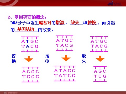 高中生物必修二高中生物同步课件：第5章 第1节  基因突变和基因重组（人教版必修2）第9页