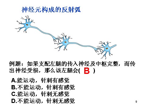 高中生物必修三必修3 稳态与环境2.1通过神经系统的调节第9页