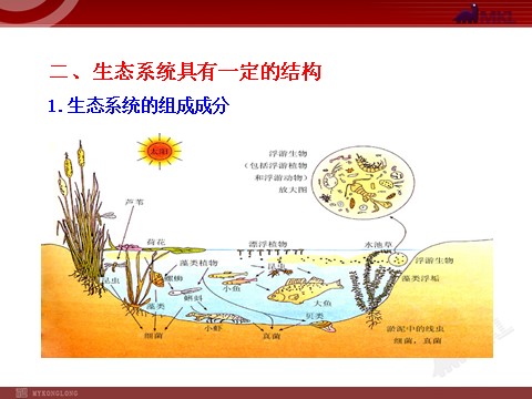 高中生物必修三高中生物PPT授课课件（人教版必修3）5.1生态系统的结构第9页