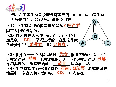 高中生物必修三必修3 稳态与环境5.3生态系统的物质循环（30张）第9页