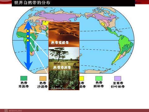 高中地理必修一地理：5.2《自然地理环境的差异性》课件（新人教版必修1）第9页