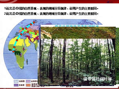 高中地理必修一【地理】人教版必修1 第五章 第二节 自然地理环境的差异性（课件）第3页