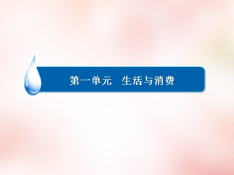 高中政治必修一1.1揭开货币的神秘面纱课件 新人教版必修1第2页