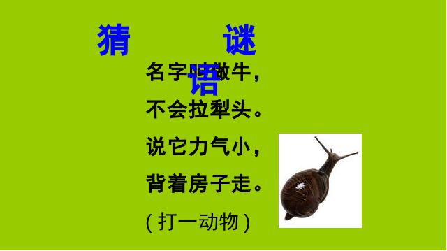 一年级上册语文新语文《课文14:小蜗牛》第3页