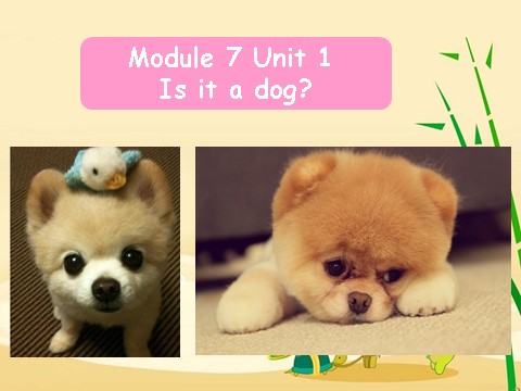 一年级上册英语（外研一起点）Module 7 Unit 1 Is it a dog 课件1第1页