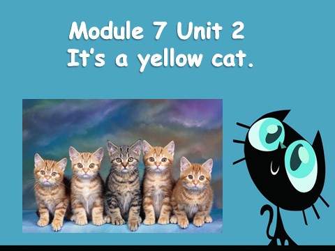 一年级上册英语（外研一起点）Module 7 Unit 2 课件1第1页