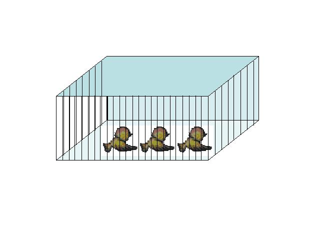 一年级上册数学(人教版）《0的认识和有关0的加减法》(数学)第6页