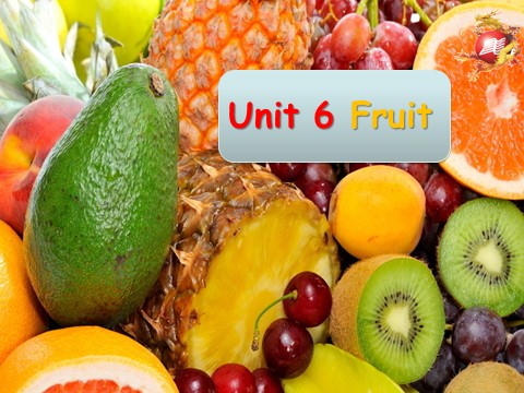 一年级上册英语（SL版）Unit 6 Fruit 课件 1第1页