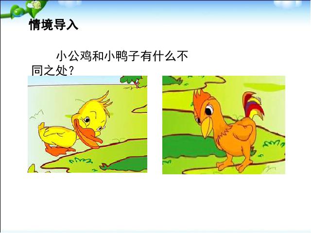 一年级下册语文语文《第5课:小公鸡和小鸭子》第6页
